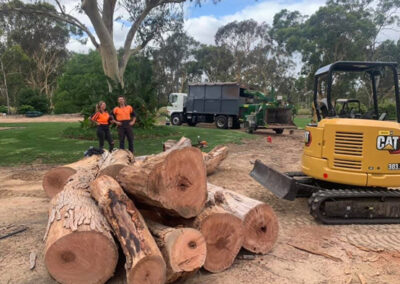 Tree Cutting in Sydney